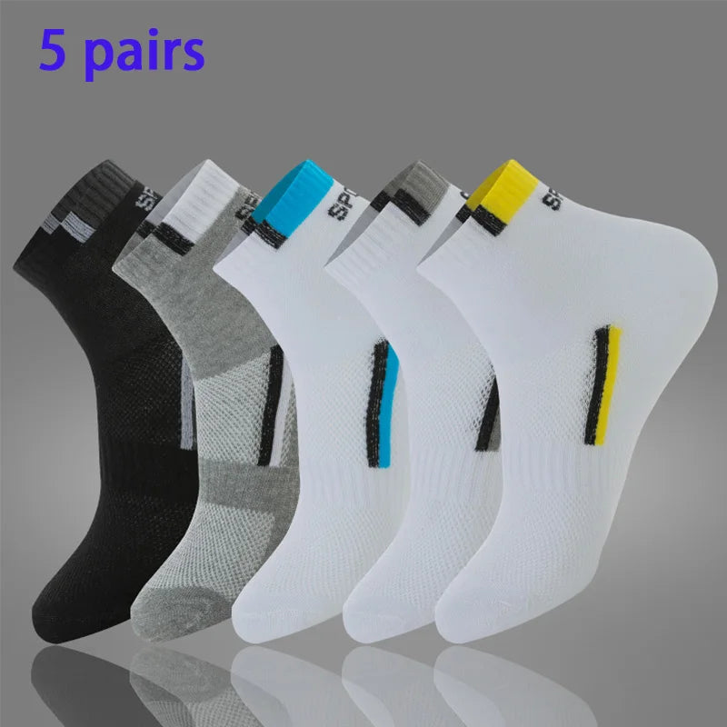 Calcetines elegantes sport